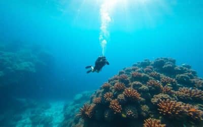 Guide de plongée sous-marine : meilleures destinations et conseils essentiels