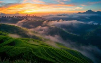 Laissez-vous tenter par l’Asie du Sud-Est : découvrez ses charmes incontournables !