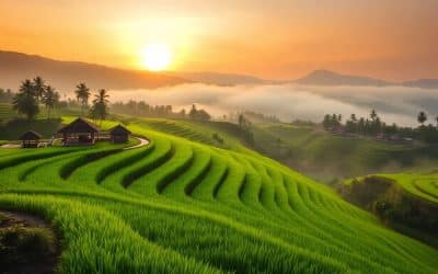 Visiter Bali : guide Complet pour un Voyage Inoubliable