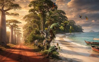 Où voyager à Madagascar : sites incontournables
