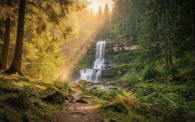 Week-end en Forêt-Noire, allemagne : que voir ?