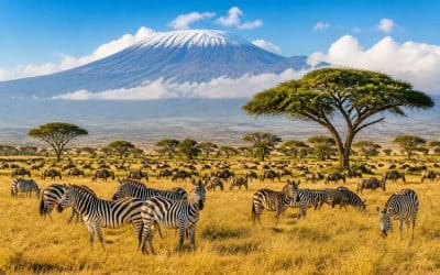 Tanzanie et Zanzibar : itinéraire de voyage idéal