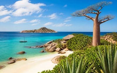 Préparer son voyage à Madagascar : guide complet et conseils