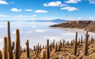 Préparer votre voyage en Bolivie : guide complet et conseils