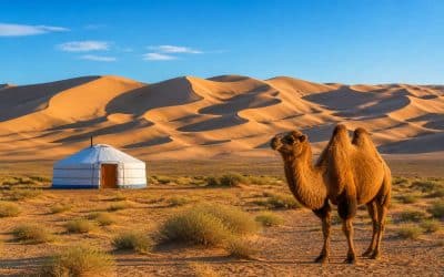 Itinéraire de voyage en Mongolie : conseils et découvertes