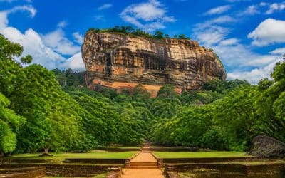 Itinéraire d’un mois au Sri Lanka : le guide complet pour organiser votre voyage
