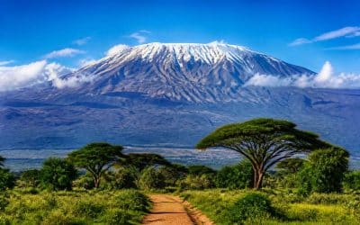 Préparer un voyage en Tanzanie : guide essentiel