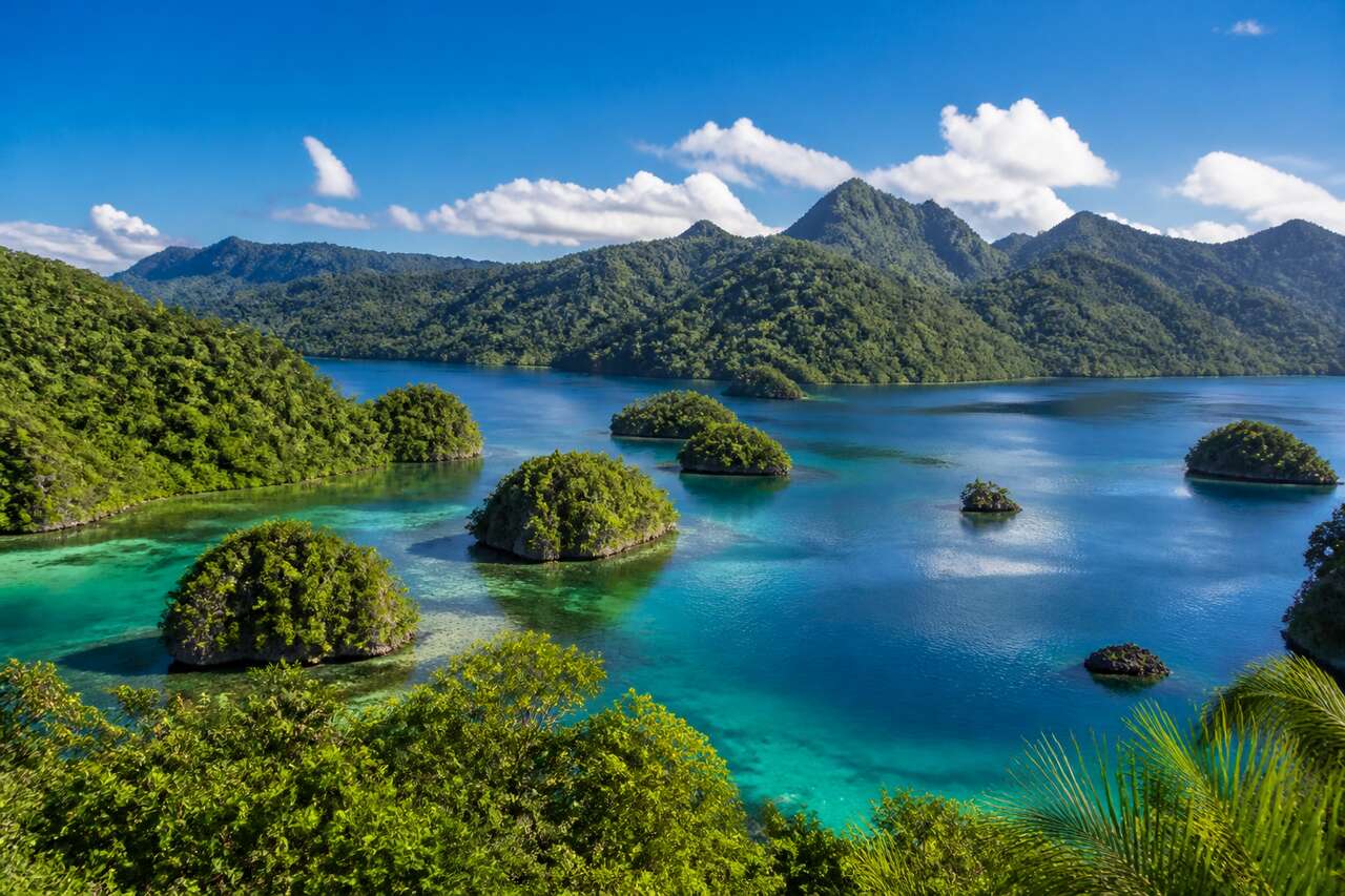 1786059472-voyage-en-papouasie-occidentale-indonesie-aventures-et-decouvertes.jpg Voyage en Papouasie occidentale, indonésie : aventures et Découvertes