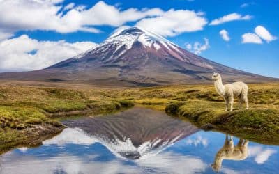 Que voir et que faire en Équateur : guide de Voyage
