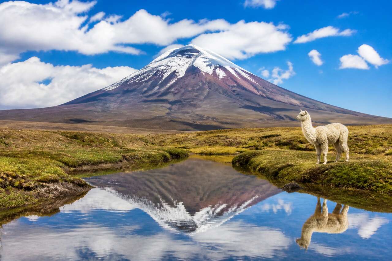 1786664168-que-voir-et-que-faire-en-equateur-guide-de-voyage.jpg Que voir et que faire en Équateur : guide de Voyage